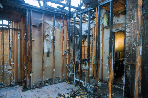 Professional Fire Damage Repair technician working in Terra Ceia, FL