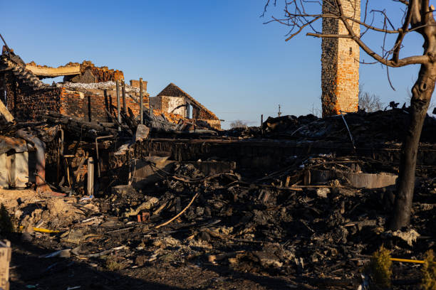Reliable Fire Damage Repair contractor in Terra Ceia, FL by Fire Damage Doption