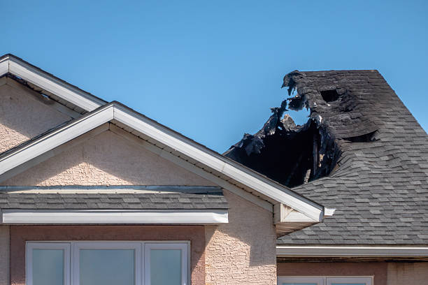 Top rated local Fire Damage Repair specialists in Terra Ceia, FL